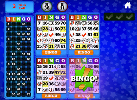 Bingo on iPad - Cool iPad Apps